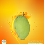 Himsagor Single Creative Edited 30.05.2023