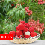 Lychee Without Price Tag