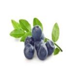 blueberry